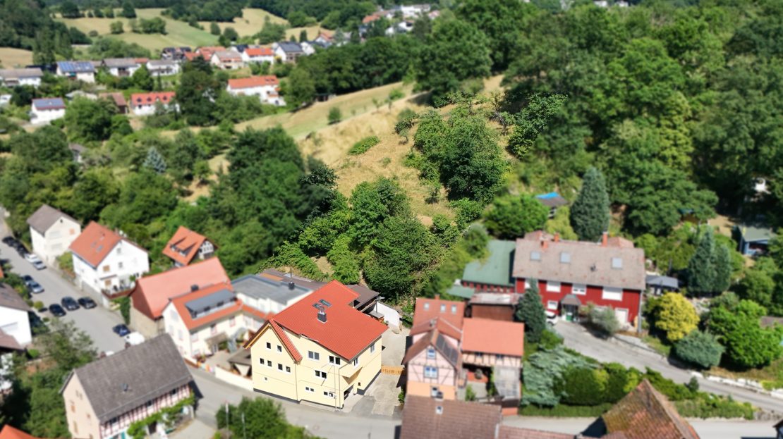 Video standbild