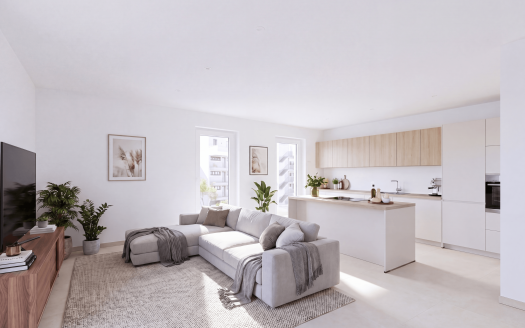 Wohnzimmer mit Küche EINRICHTUNGSBEISPIEL 1